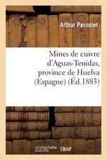 Mines de Cuivre D'Aguas-Tenidas, Province de Huelva (Espagne)