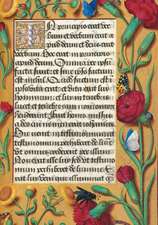 Carnet Heures Anne de Bretagne, Illets