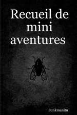 Recueil de mini aventures