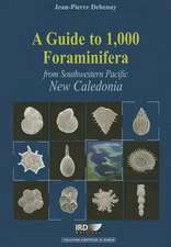 A Guide to 1,000 Foraminifera from Southwestern Pacific, New Caledonia