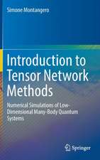 Montangero, S: Introduction to Tensor Network Methods