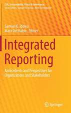 Integrated Reporting: Antecedents and Perspectives for Organizations and Stakeholders