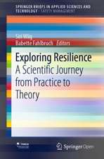 Exploring Resilience: A Scientific Journey from Practice to Theory