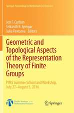 Geometric and Topological Aspects of the Representation Theory of Finite Groups: PIMS Summer School and Workshop, July 27-August 5, 2016