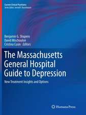 The Massachusetts General Hospital Guide to Depression: New Treatment Insights and Options