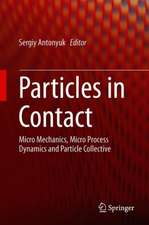 Particles in Contact: Micro Mechanics, Micro Process Dynamics and Particle Collective