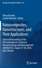 Nanocomposites, Nanostructures, and Their Applications: Selected Proceedings of the 6th International Conference Nanotechnology and Nanomaterials (NANO2018), August 27-30, 2018, Kyiv, Ukraine