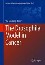 The Drosophila Model in Cancer