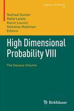 High Dimensional Probability VIII: The Oaxaca Volume