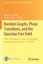 Random Graphs, Phase Transitions, and the Gaussian Free Field: PIMS-CRM Summer School in Probability, Vancouver, Canada, June 5–30, 2017