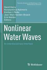 Nonlinear Water Waves