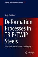 Deformation Processes in TRIP/TWIP Steels: In-Situ Characterization Techniques