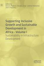 Supporting Inclusive Growth and Sustainable Development in Africa - Volume I: Sustainability in Infrastructure Development