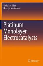 Platinum Monolayer Electrocatalysts