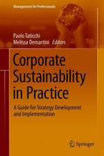 Corporate Sustainability in Practice: A Guide for Strategy Development and Implementation