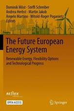 The Future European Energy System: Renewable Energy, Flexibility Options and Technological Progress