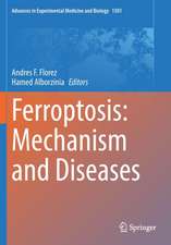 Ferroptosis: Mechanism and Diseases