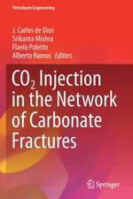 CO2 Injection in the Network of Carbonate Fractures