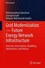Grid Modernization ─ Future Energy Network Infrastructure: Overview, Uncertainties, Modelling, Optimization, and Analysis