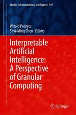 Interpretable Artificial Intelligence: A Perspective of Granular Computing