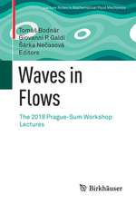 Waves in Flows: The 2018 Prague-Sum Workshop Lectures