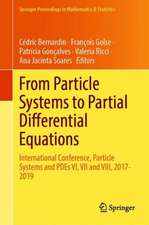 From Particle Systems to Partial Differential Equations: International Conference, Particle Systems and PDEs VI, VII and VIII, 2017-2019