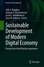 Sustainable Development of Modern Digital Economy: Perspectives from Russian Experiences