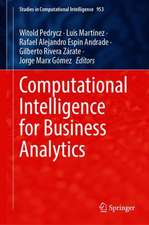 Computational Intelligence for Business Analytics