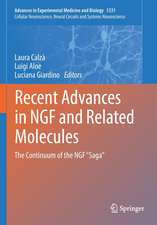 Recent Advances in NGF and Related Molecules: The Continuum of the NGF “Saga”