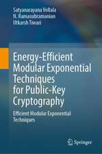 Energy-Efficient Modular Exponential Techniques for Public-Key Cryptography: Efficient Modular Exponential Techniques