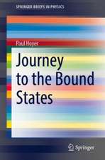 Journey to the Bound States