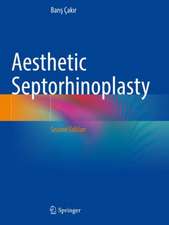 Aesthetic Septorhinoplasty