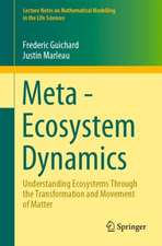 Meta-Ecosystem Dynamics: Understanding Ecosystems Through the Transformation and Movement of Matter