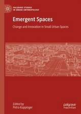 Emergent Spaces: Change and Innovation in Small Urban Spaces