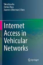 Internet Access in Vehicular Networks