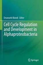 Cell Cycle Regulation and Development in Alphaproteobacteria