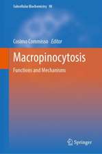 Macropinocytosis: Functions and Mechanisms