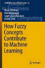 How Fuzzy Concepts Contribute to Machine Learning