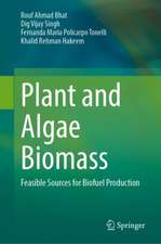 Plant and Algae Biomass: Feasible Sources for Biofuel Production