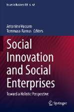 Social Innovation and Social Enterprises: Toward a Holistic Perspective