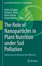 The Role of Nanoparticles in Plant Nutrition under Soil Pollution: Nanoscience in Nutrient Use Efficiency