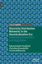 Electricity Distribution Networks in the Decentralisation Era