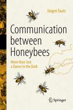 Communication Between Honeybees: More than Just a Dance in the Dark