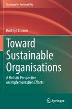 Toward Sustainable Organisations: A Holistic Perspective on Implementation Efforts