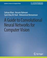 A Guide to Convolutional Neural Networks for Computer Vision