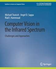 Computer Vision in the Infrared Spectrum: Challenges and Approaches