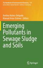 Emerging Pollutants in Sewage Sludge and Soils