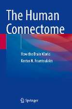 The Human Connectome: How the Brain Works