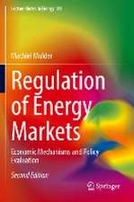 Regulation of Energy Markets: Economic Mechanisms and Policy Evaluation