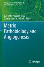 Matrix Pathobiology and Angiogenesis